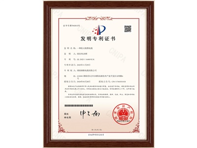 發(fā)明專利（1）